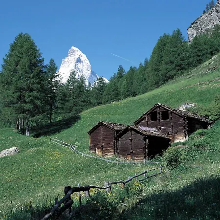 Les Violettes-2 By Interhome Apartman Zermatt